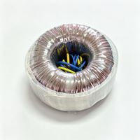 Transformateur toroïdal à noyau en acier au silicium 300W 500W 1000W 50 60Hz avec enroulement en cuivre pour alimentations d'amplificateurs audio Hi-Fi