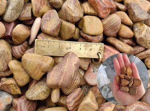 Piedras Decorativas de Grano de Madera Amarilla <span class=keywords><strong>Natural</strong></span> Premium, Agregado de Decoración de Paisajes, Mineral No Metálico, Guijarros Naturales Arcoíris - Product Image 2