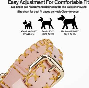 Collier de chien en cuir de haute qualité conçu pour les chiens de petite à moyenne taille - Product Image 2