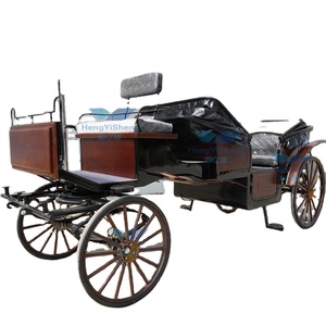 Carruaje de caballos eléctrico elegante para bodas con dosel maravilloso para transporte/Turismo transporte especial - Product Image 2