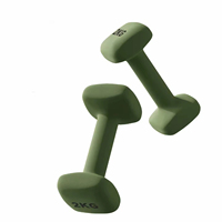 Ensemble d'haltères carrées en fer pour la musculation, le tonification corporelle et l'entraînement en salle de sport, légers