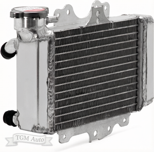 Radiador de aluminio de alta calidad para Honda PES <span class=keywords><strong>125</strong></span>/150 inyección 2006-2010, <span class=keywords><strong>SH</strong></span> <span class=keywords><strong>125</strong></span>/150 inyección 2005-2012 OEM 19010-KTF-641 - Product Image 1