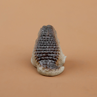Super promotion : Figurine en résine de crocodile et d'alligator, sculpture Feng Shui, décoration d'intérieur