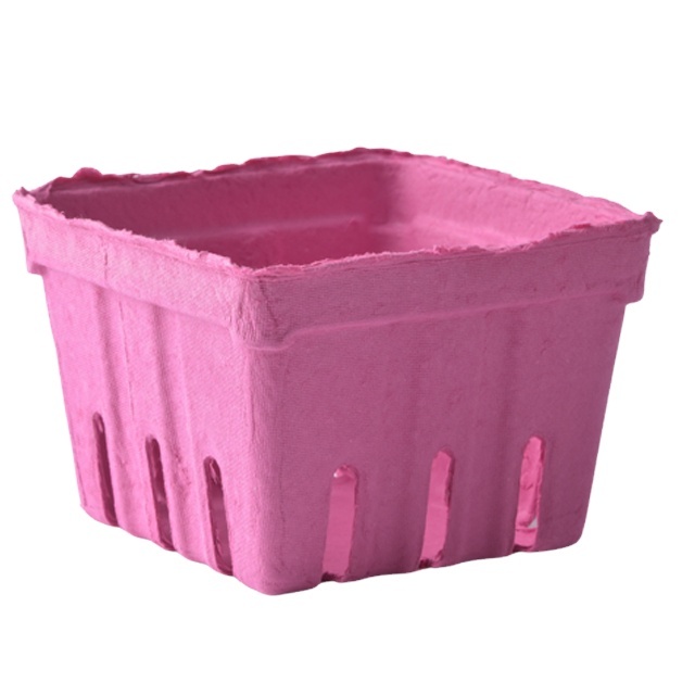 Hot Selling Biodegradable Recycled Dry Fruit Decoration Tray Fruit Carton Box Apples
