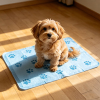 Almohadillas de Entrenamiento para Perros, Absorbentes, Impermeables, Desechables, de Bajo Precio y Venta al Por Mayor