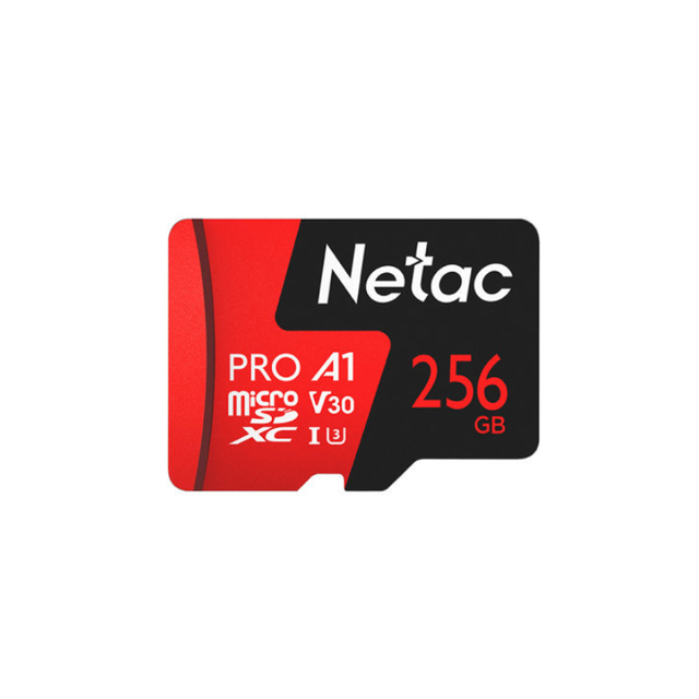 Netac P500 Pro Mic SD Card 16G 32G 64G C10 Class 10,UHS-I High Efficiency, Fast Read Speed up to 100MB/s