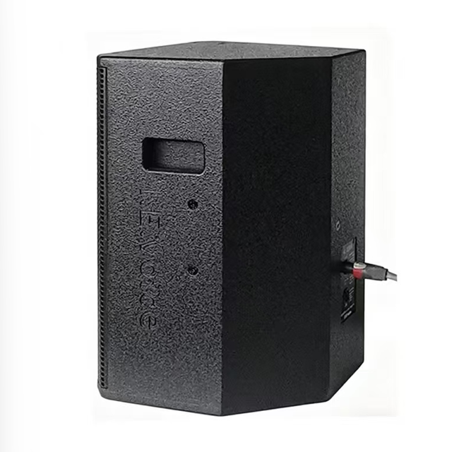 OEM/ODM I.E.voice Hi-Res Plywood Shell Ferrite Magnetn 10-Inch Coaxial Point Sound Source Speaker