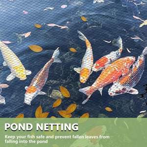 Duurzaam Vogelnet Anti-Vogelnetten Tuinbescherming HDPE Warp Knitting Hot <span class=keywords><strong>Sale</strong></span> Vogelnetten voor Landbouw - Product Image 6