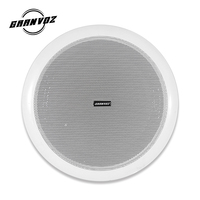 Metal malzeme alıcıları ile 6.5 inç kapalı ses tavan hoparlörler 6W Woofer ev amplifikatör