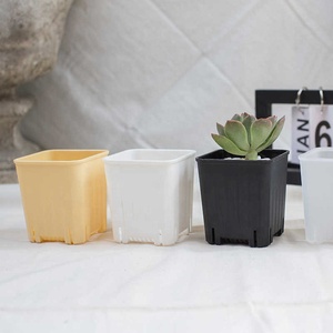 <span class=keywords><strong>Vaso</strong></span> di fiori da 2 pz <span class=keywords><strong>vaso</strong></span> quadrato di plastica semplice quadrato ispessito vasi da fiori <span class=keywords><strong>piante</strong></span> succulente - Product Image 6