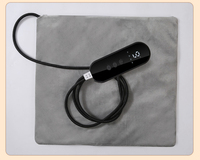Tapis chauffant électrique pour animaux de compagnie toutes saisons, couverture chauffante anti-morsure, imperméable, protection contre la surchauffe pour chiens et chats