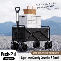 Chariot pliable d'extérieur, chariot de camping pliable, chariot de plage avec freins, chariot portable pour pique-nique, jardin, courses, OEM personnalisé