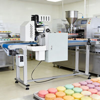 Equipo de Impresión con Tinta Comestible Faith Commercial con Cinta Transportadora para Impresora de Alimentos para Panadería y Snacks