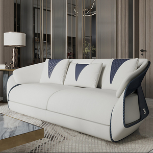 Elegant Sofa Suite with <strong>Unique</strong> Color - blocking Design, Suited for High - end Home <strong>Spaces</strong> - Product Image 5