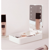 Miroir de maquillage de bureau portable à LED rechargeable par USB avec logo personnalisé en usine, grossissement 1X, rose, boîte à pinceaux cosmétiques