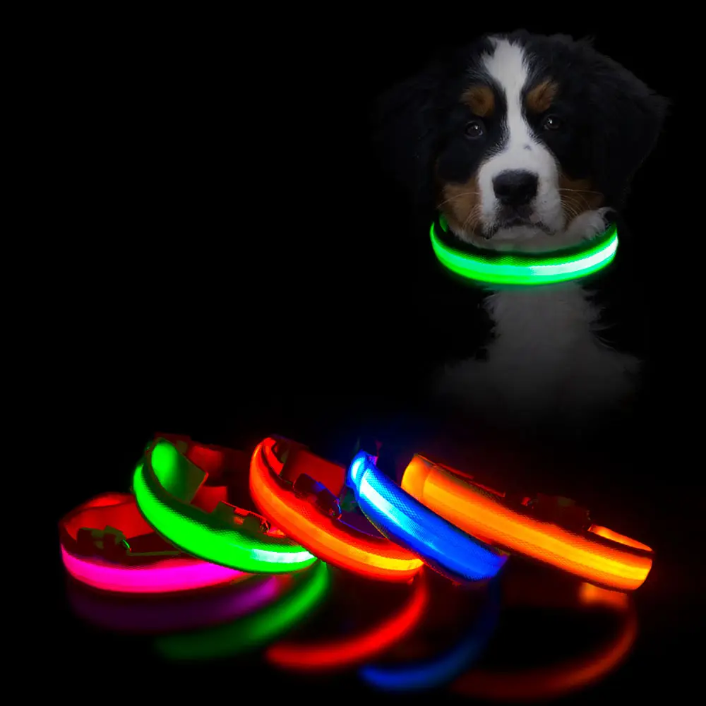 Vendita calda vendita diretta in fabbrica LED lampeggiante collare per animali domestici collare per cani incandescente per animali domestici di sicurezza e contro animali domestici persi