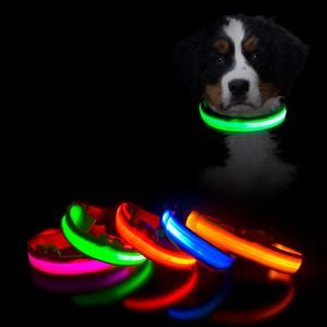 Vente directe d'usine vente chaude LED clignotant collier pour animaux de compagnie collier de <span class=keywords><strong>chien</strong></span> lumineux pour la sécurité marche animal de compagnie et contre l'animal perdu - Product Image 1
