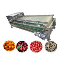 Machine de tri automatique des fruits Machine de sélection des graines de fruits Olives Grain Longan Trieuse de café cerises