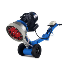 DFG-250E 250mm Ponceuse à béton humide et à sec pour l'élimination de l'époxy, polisseuse de sol, ponceuse de bord, vente directe usine