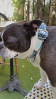 Fabricant de colliers pour chien en tissu denim avec boucle métallique réglable, personnalisés, de luxe et tendance, en gros