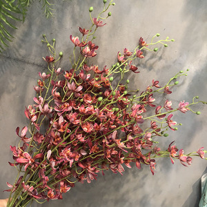 Plantes artificielles, orchidées Phalaenopsis, plantes d'aménagement paysager, décoration de la maison, arrangements floraux, bouquets de mariage, fleurs artificielles - Product Image 4