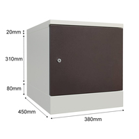 Chef de file Armoire de casiers en métal de luxe assemblée avec serrure à empreintes digitales en option Serrure à mot de passe numérique NFC Serrure à came pour salle de sport