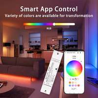 Bilihondim Zigbee Smart Home Control RGB Dimmer 1 canal 200W 24/12V 1A mural 16 millions de couleurs portée 30M sans fil