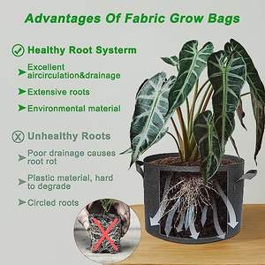 Pot de culture OEM de <span class=keywords><strong>5</strong></span> gallons/19 litres pot en tissu sacs de culture en feutre non tissé très résistants - Product Image 5