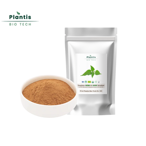 Poudre d'extrait de feuille d'ortie 100% naturelle de qualité alimentaire, extraite par solvant, flavonoïdes et polyphénols, 100% passant le tamis 80 - Product Image 2