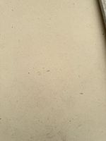 Grande dalle de pierre calcaire beige naturelle de haute qualité pour la façade murale de projets de villas