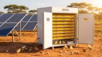 Le Offre Spéciale incubateur d'oeufs de poulet solaire 2112 pour économiser l'énergie