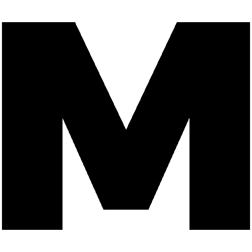 Shenzhen Lingyan Technology Co., Ltd. logo