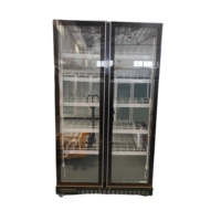 Réfrigérateur commercial vertical à deux portes CookKitchen, refroidissement direct, plaque en acier coloré, dégivrage automatique, numérique