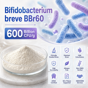 Bifidobacterium Breve BBr60 breveté 800 milliards <span class=keywords><strong>d</strong></span>'UFC/g – Ingrédient probiotique cliniquement étudié en vrac pour la santé métabolique - Product Image 1