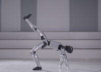 Robot humanoïde Unitree G1 Edu U1/U2 / Robot humanoïde open source / Laboratoire universitaire / Spectacle / Performance / Danse / avec caméra de profondeur LiDAR 3D