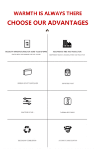 Fabricant JingXin Poêle à <span class=keywords><strong>bois</strong></span> intérieur en fonte de conception moderne Cheminée à combustible biologique avec équipement de chauffage <span class=keywords><strong>Insert</strong></span> en acier fabriqué en Chine - Product Image 5