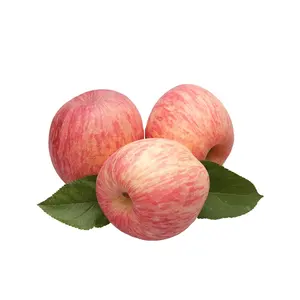 New Crop Red Fuji Apple Sweet Crisp Big Apples Wholesale Export Supplier