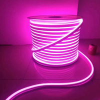 Cuerda de Luz LED para Exteriores AC IP67, Económica, Blanco Cálido, Blanco Frío, Amarillo Dorado, 220v, 8x16mm, Rollo de 100m, Luz LED de Neón Flexible de 220v