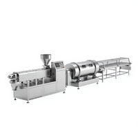 Ligne de production de flocons de maïs série SLG, machine d'extrusion et de séchage automatique, acier inoxydable 304, équipement clé en main pour les aliments du petit-déjeuner
