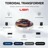 Transformateur de puissance toroïdal pour amplificateur audio, monophasé, 100% cuivre, 220V vers 24V 48V 50/60Hz, OEM personnalisé, CE RoHS, faible MOQ