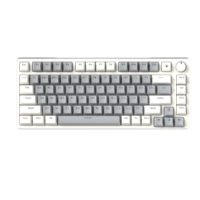 Russian 82 Keys ABS Keycap Hot Swap N-keys Rollover Gasket Wired Rainbow Backlit Gaming Mechanical Keyboard for Office Writing