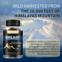 Gummies de Shilajit Pur Naturel de l'Himalaya OEM/ODM – Acide Fulvique Minéral – Soutien Immunitaire et Énergétique pour Hommes et Femmes (Déconseillé aux Femmes Enceintes)