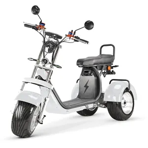 Điện Scooter off road 3 bánh xe chất béo lốp coc/EEC điện Scooter điện ba bánh citycoco ở nước ngoài kho