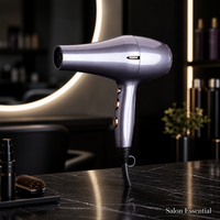 Sèche-cheveux électrique professionnel en gros, vent puissant, ions négatifs, voyage, 3000 W, air chaud et froid