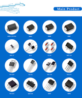Diodes Photovoltaïques LuJing 30SQ045 30A R-6 Diode Schottky à Bypass 50V pour Générateur, Boîtier à Montage Traversant
