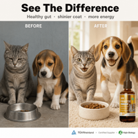 Gouttes Probiotiques pour Chats - Santé Digestive et Immunitaire - Supplément Liquide FOS pour Animaux de Compagnie - Bouteilles pour Chiots, Chatons, Toutes Races et Tailles - 60ml
