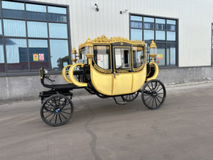 Carruaje de Caballos de Lujo Real para Bodas, para Lugares Turísticos, Carruaje de Caballos de Alta Calidad para Recorridos Turísticos, Venta de Fábrica - Product Image 6