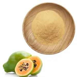 FST Biotec reines Bio-Papaya-Frucht extrakt pulver