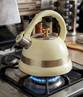 Bouilloire en acier inoxydable, prix de gros, faible MOQ disponible, compatible avec tous les types de cuisinières pour faire bouillir de l'eau