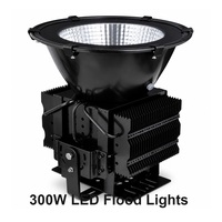 Projecteurs LED Extérieurs Étanches de Type Ailette 50000lm 300W IP68 Anti-Explosion 2500K 380V pour Court de Tennis